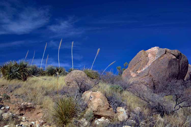 hike scene